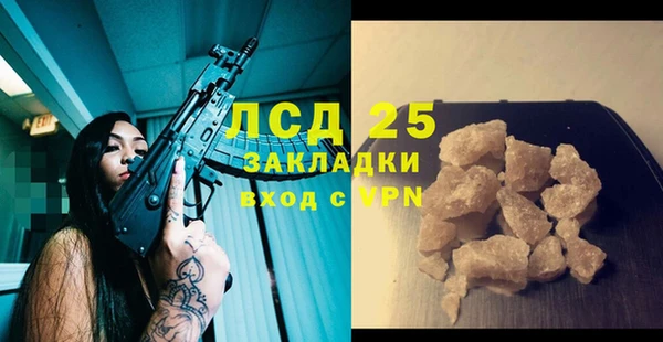 гидра Алексеевка