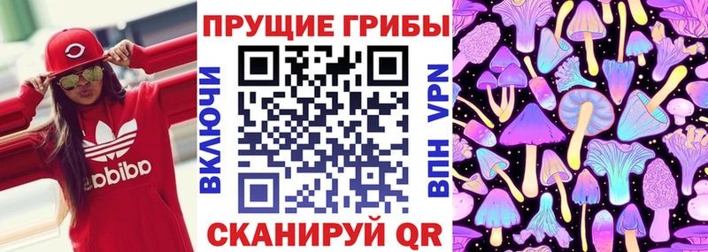 закладки  Сарапул  кракен онион  Псилоцибиновые грибы ЛСД 